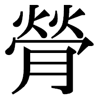 「膋」の明朝体フォント・イメージ