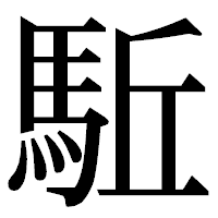 「駈」の明朝体フォント・イメージ