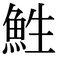 「鮏」の明朝体フォント・イメージ