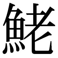 「鮱」の明朝体フォント・イメージ