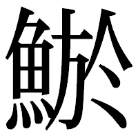 「鯲」の明朝体フォント・イメージ