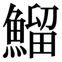 「鰡」の明朝体フォント・イメージ