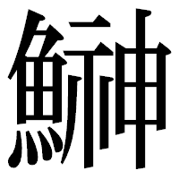 「鰰」の明朝体フォント・イメージ