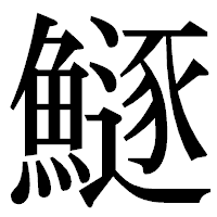 「鱁」の明朝体フォント・イメージ