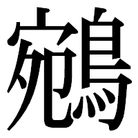 「鵷」の明朝体フォント・イメージ