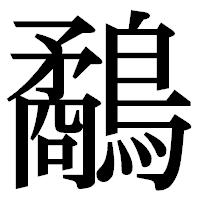 「鷸」の明朝体フォント・イメージ