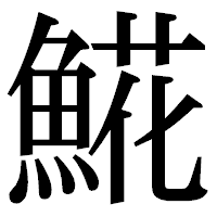 「𩸽」の明朝体フォント・イメージ