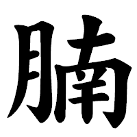 「腩」の楷書体フォント・イメージ