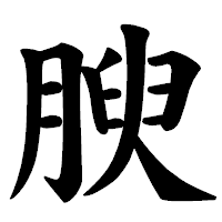 「腴」の楷書体フォント・イメージ