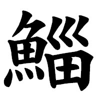 「鯔」の楷書体フォント・イメージ