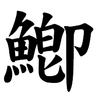 「鯽」の楷書体フォント・イメージ