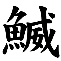 「鰄」の楷書体フォント・イメージ