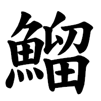 「鰡」の楷書体フォント・イメージ
