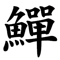 「鱓」の楷書体フォント・イメージ