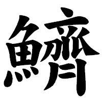 「鱭」の楷書体フォント・イメージ