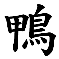 「鴨」の楷書体フォント・イメージ