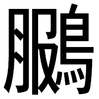 「鵩」のゴシック体フォント・イメージ