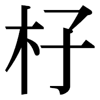 「杍」の明朝体フォント・イメージ