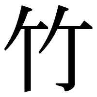 「竹」の明朝体フォント・イメージ