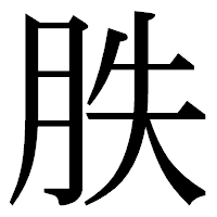 「胅」の明朝体フォント・イメージ
