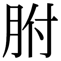 「胕」の明朝体フォント・イメージ
