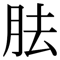 「胠」の明朝体フォント・イメージ