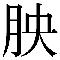 「胦」の明朝体フォント・イメージ