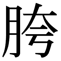 「胯」の明朝体フォント・イメージ