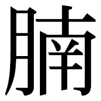 「腩」の明朝体フォント・イメージ