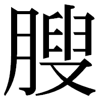「膄」の明朝体フォント・イメージ
