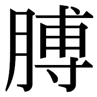 「膊」の明朝体フォント・イメージ