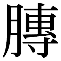 「膞」の明朝体フォント・イメージ