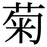 「菊」の明朝体フォント・イメージ