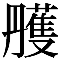 「雘」の明朝体フォント・イメージ