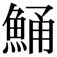 「鯒」の明朝体フォント・イメージ