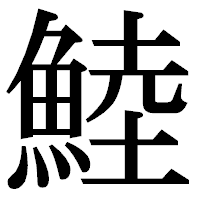 「鯥」の明朝体フォント・イメージ