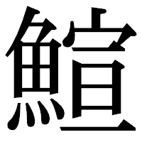 「鰚」の明朝体フォント・イメージ
