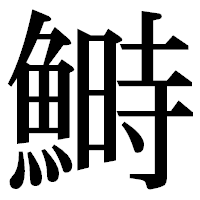 「鰣」の明朝体フォント・イメージ