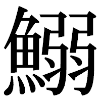 「鰯」の明朝体フォント・イメージ