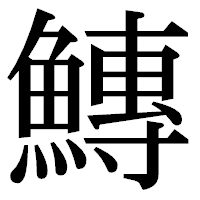 「鱄」の明朝体フォント・イメージ