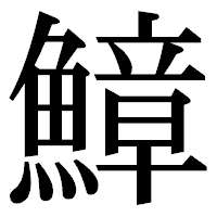 「鱆」の明朝体フォント・イメージ
