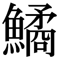 「鱊」の明朝体フォント・イメージ