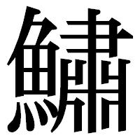 「鱐」の明朝体フォント・イメージ