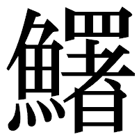 「鱰」の明朝体フォント・イメージ