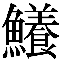 「鱶」の明朝体フォント・イメージ