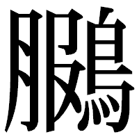 「鵩」の明朝体フォント・イメージ