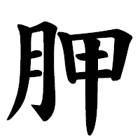 「胛」の楷書体フォント・イメージ