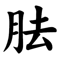 「胠」の楷書体フォント・イメージ