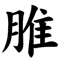 「脽」の楷書体フォント・イメージ