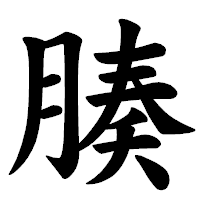 「腠」の楷書体フォント・イメージ
